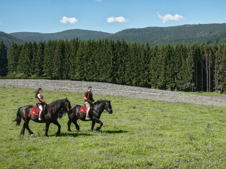 Zwei Reiter genießen einen entspannten Ausritt durch die grasige Landschaft rund um den Tonihof im Bayerischen Wald.