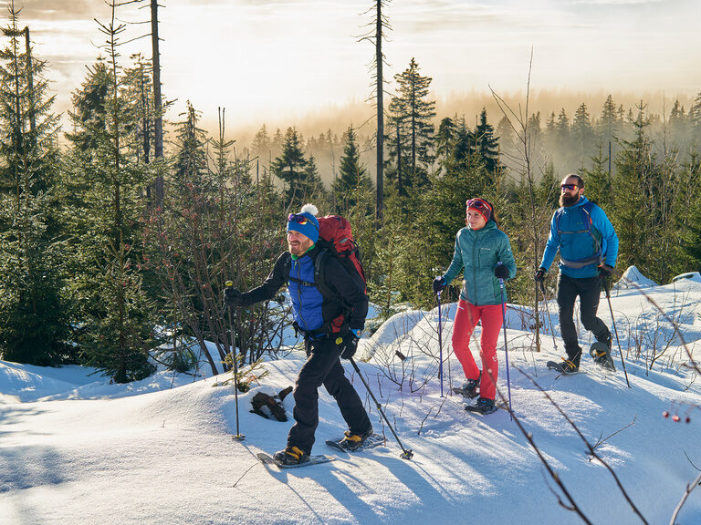 Eine Gruppe von Schneeschuhwanderern schreitet durch eine Winterlandschaft nahe Bodenmais